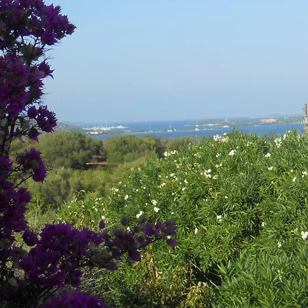Villa Villa Rosa Con Piscina In Costa Smeralda